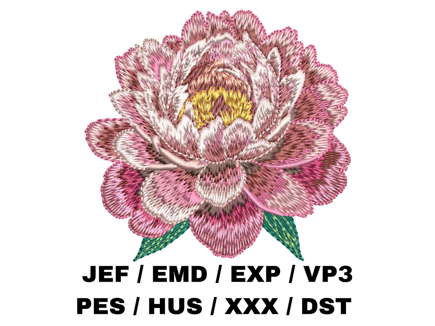 Peony Flower