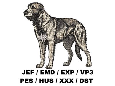 Irish Wolfhound 5 - Full Body