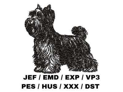 Biewer Terrier Outline - Full Body