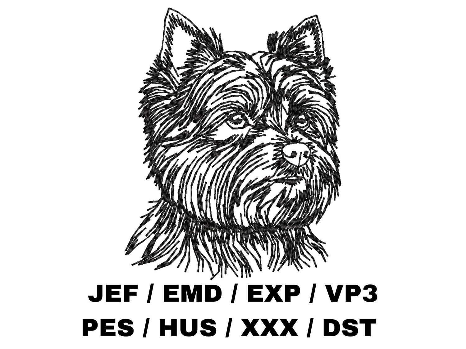 Biewer Terrier Outline
