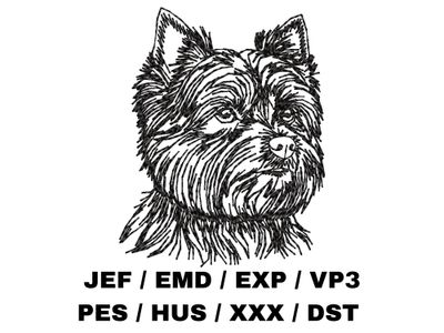 Biewer Terrier Outline