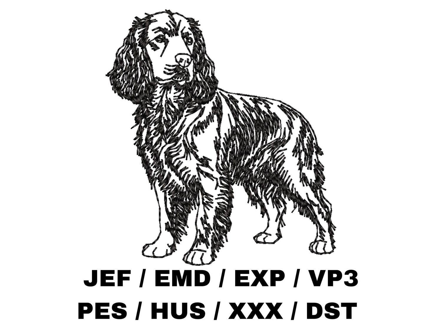 Boykin Spaniel Outline - Full Body