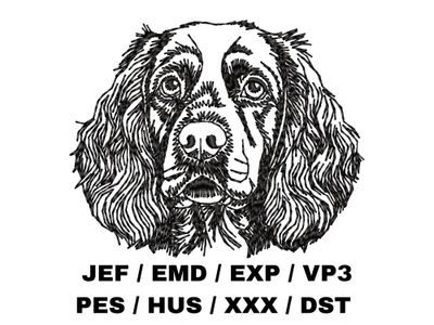Boykin Spaniel Outline