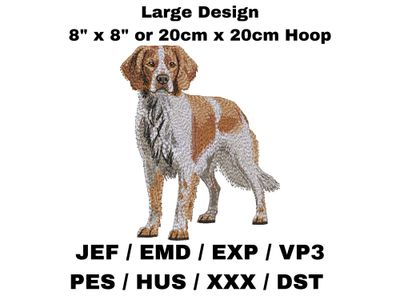 Brittany Spaniel