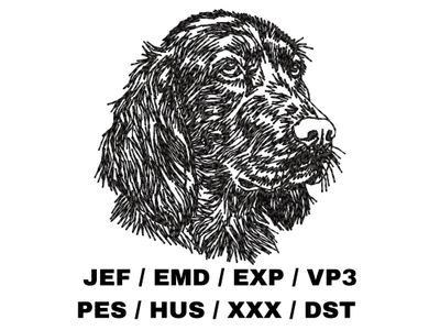 Irish Setter Outline