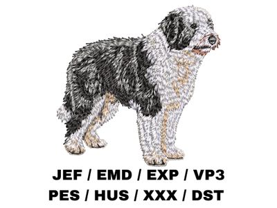 Old English Sheepdog 2- Full Body