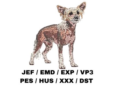 Chinese Crested Dog 2 - Full Body