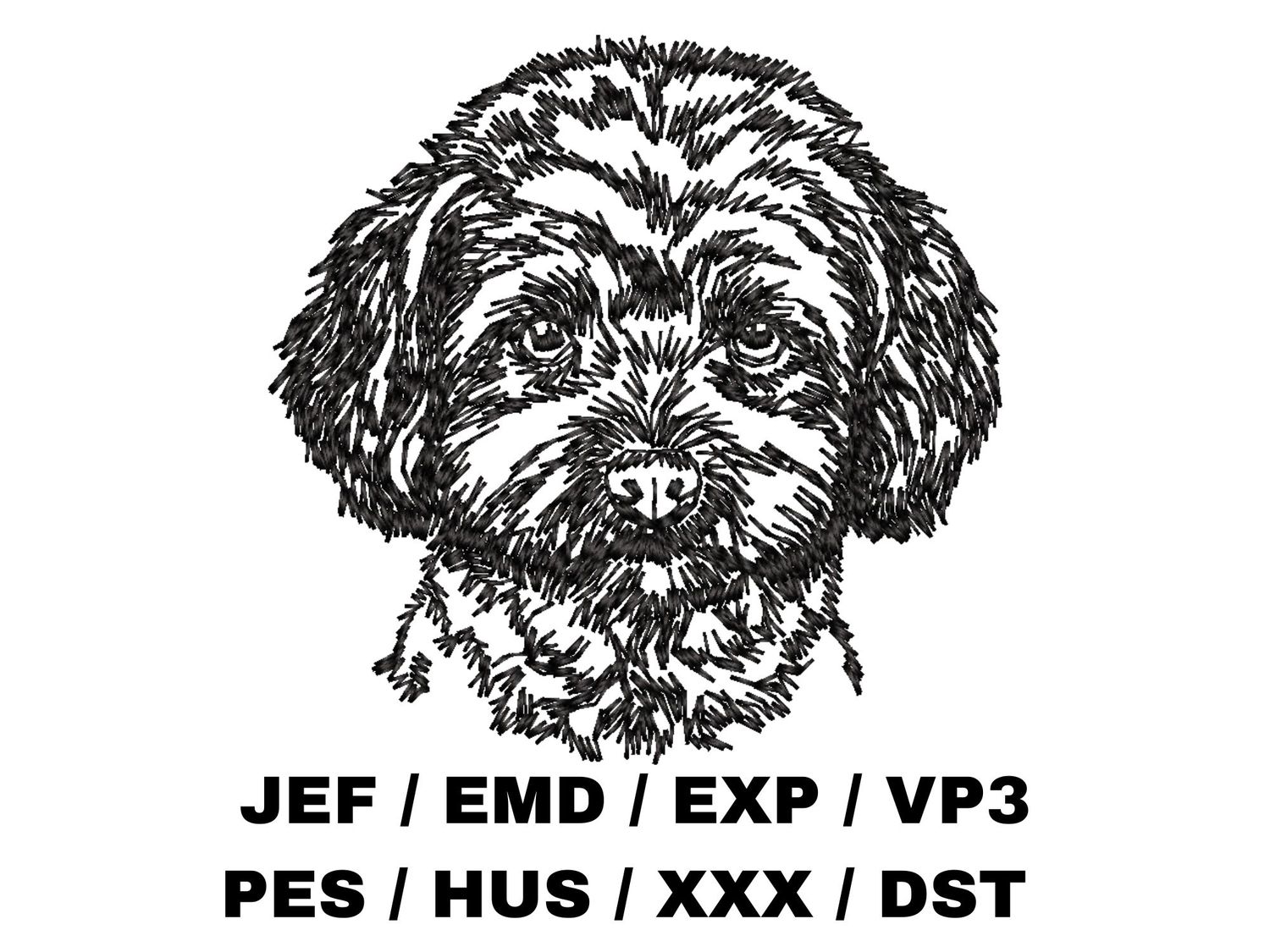 Bichpoo / Poochon Outline