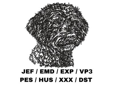 Lagotto Romagnolo Outline