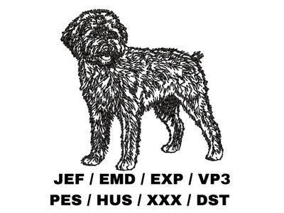 Lagotto Romagnolo Outline - Full Body