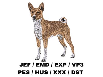 Basenji 2 - Full Body