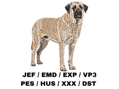 Anatolian Shepherd Dog 3 - Full Body