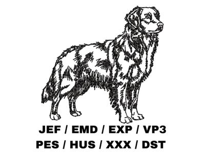 Nova Scotia Duck Tolling Retriever Outline - Full Body