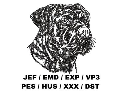 Dogue de Bordeaux Outline