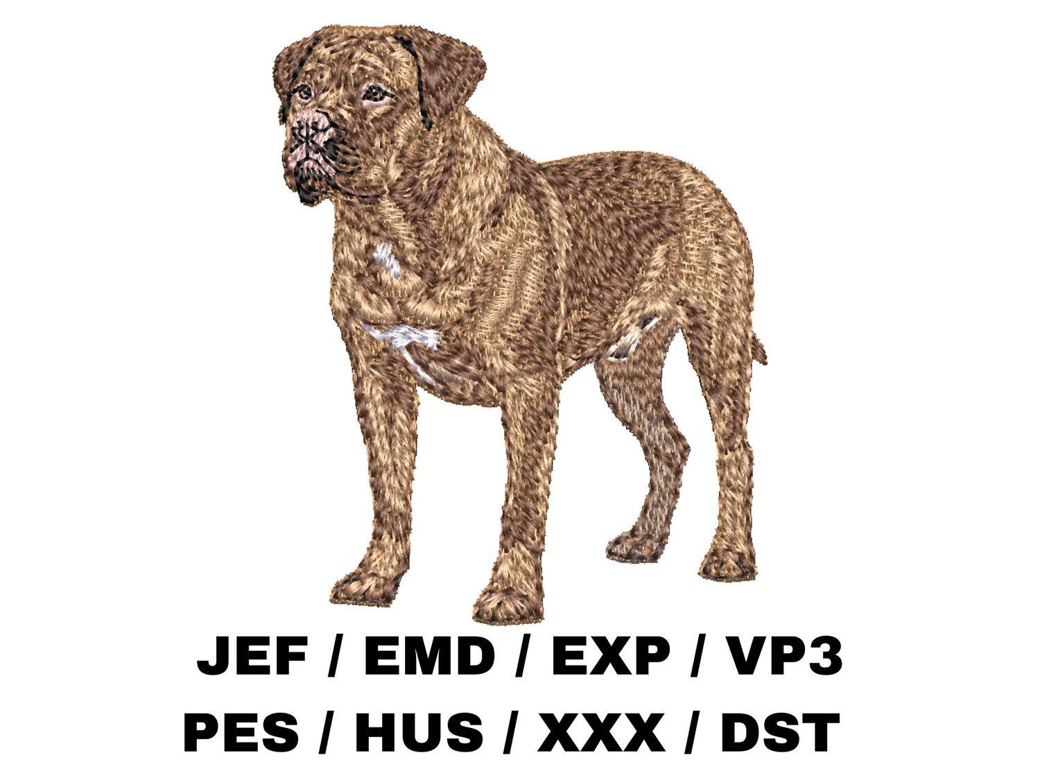 Dogue de Bordeaux 4 - Full Body