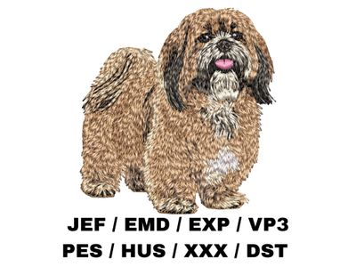 Lhasa Apso 3 - Full Body