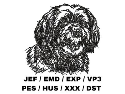 Lhasa Apso Outline