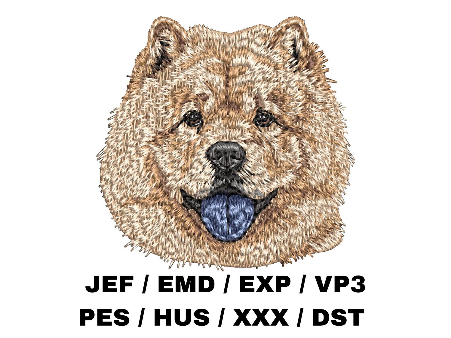 Chow Chow 5