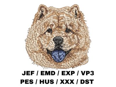 Chow Chow 5
