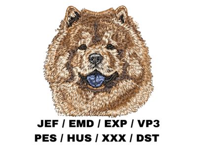 Chow Chow 6