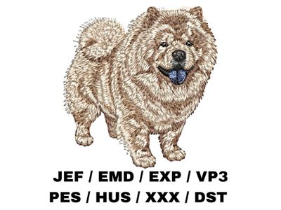 Chow Chow 7 - Full Body