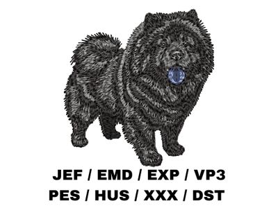 Chow Chow 8 - Full Body