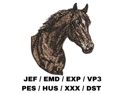 Horse 1