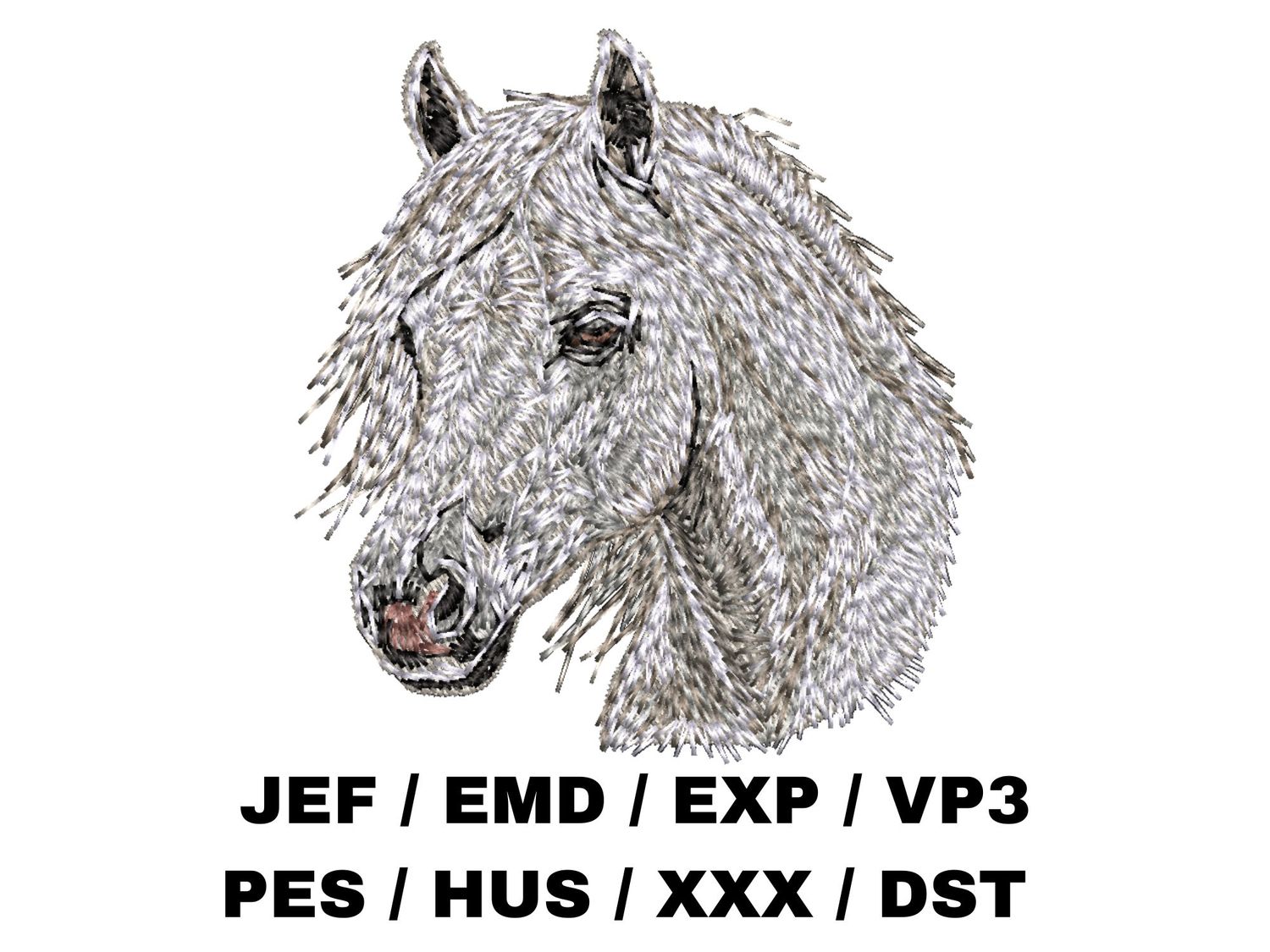 Horse 2
