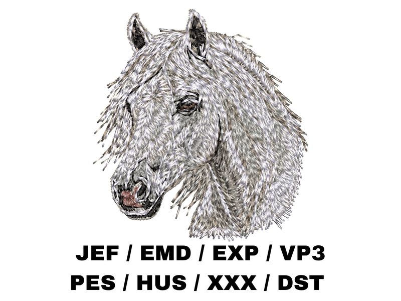 Horse 2