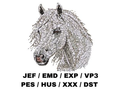 Horse 2