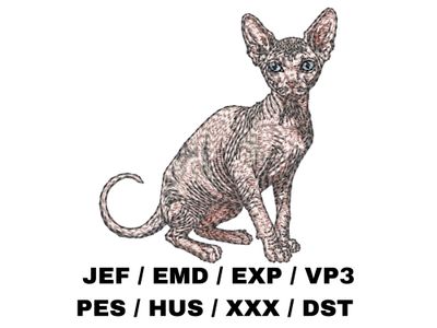 Sphynx Cat 4 - Full Body