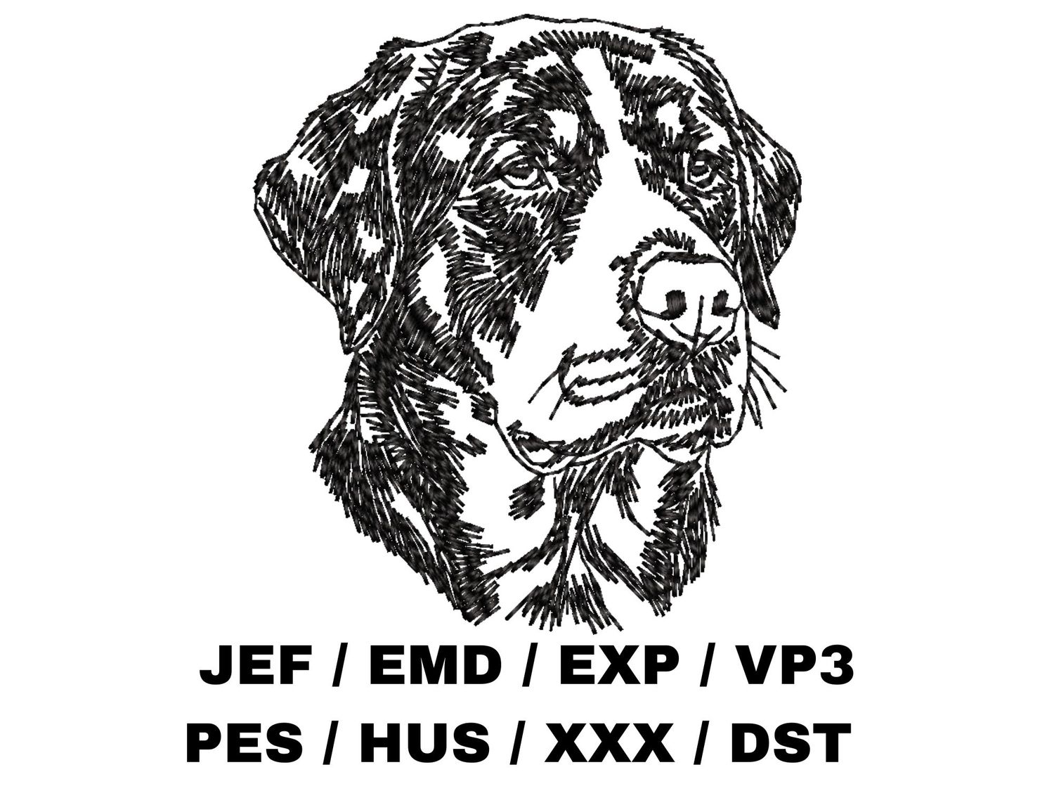 Greater Swiss Mountain Dog Outline