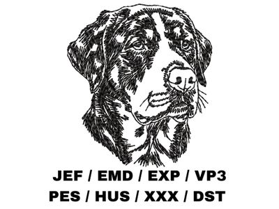 Greater Swiss Mountain Dog Outline