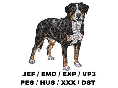 Greater Swiss Mountain Dog 4 - Full Body