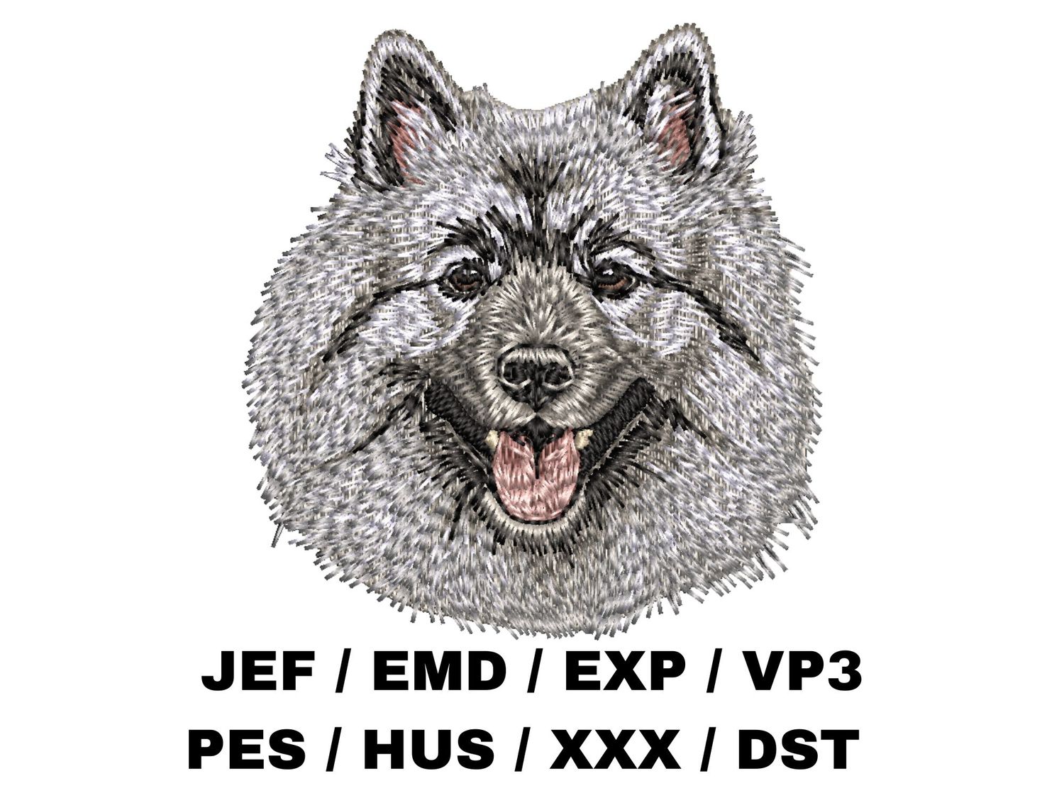 Keeshond 2