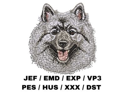 Keeshond 2
