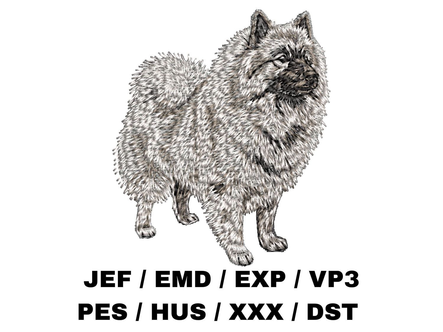 Keeshond 3 - Full Body