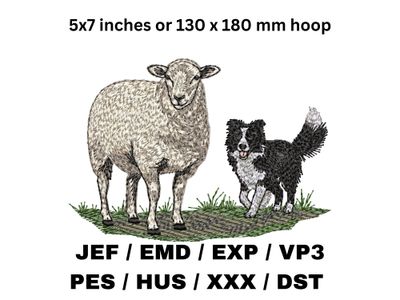 Border Collie Herding Sheep