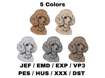 Poodle 14