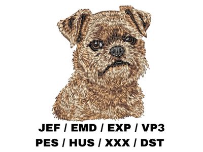 Brussels Griffon 2