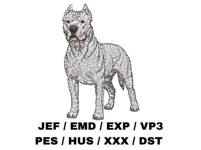 Dogo Argentino 3 - Full Body