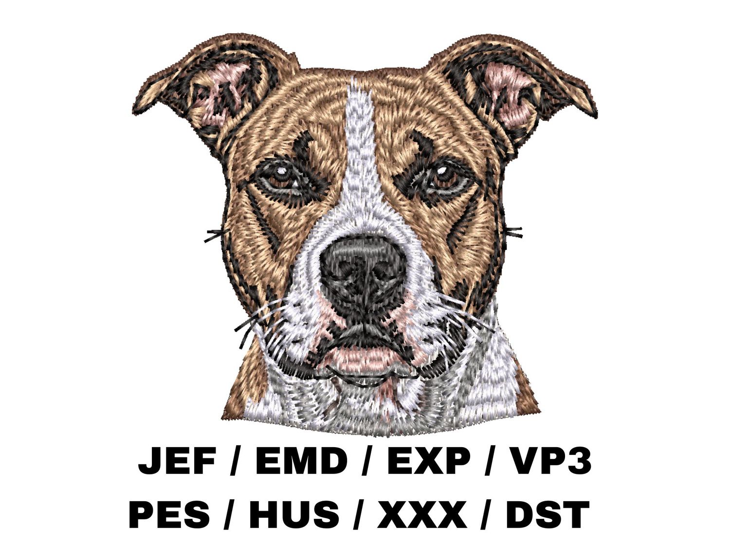 American Staffordshire Terrier 2