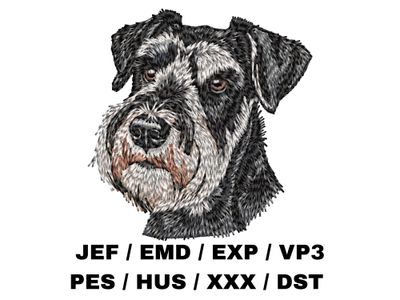 Standard Schnauzer 2