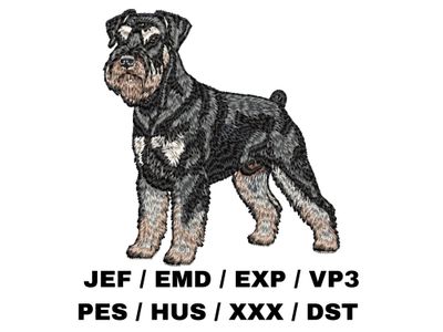 Standard Schnauzer 3 - Full Body