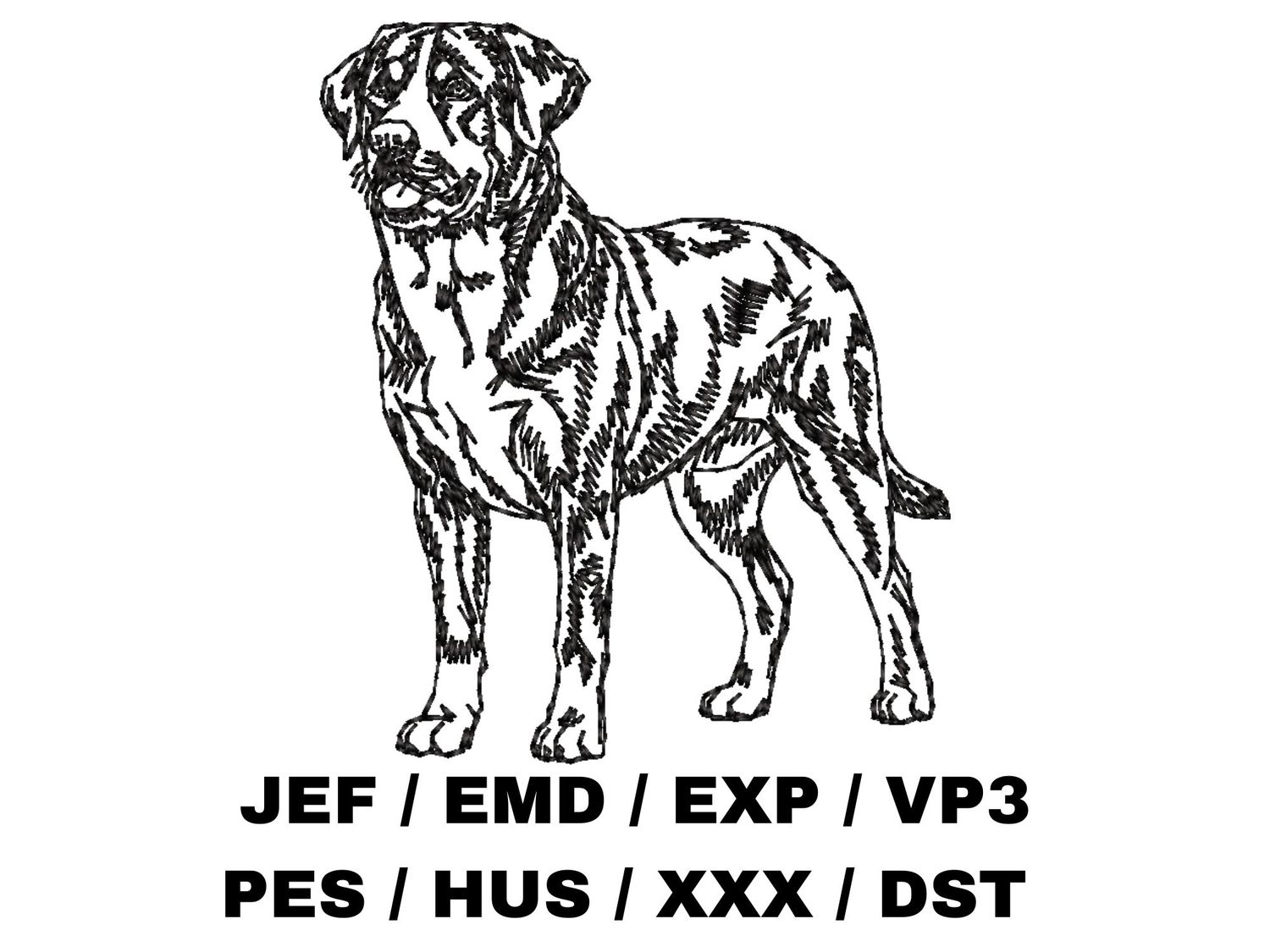 Greater Swiss Mountain Dog Outline - Full Body