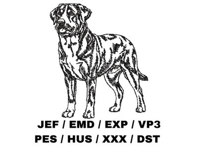 Greater Swiss Mountain Dog Outline - Full Body