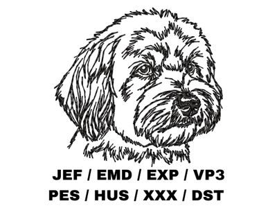 Coton de Tulear Outline