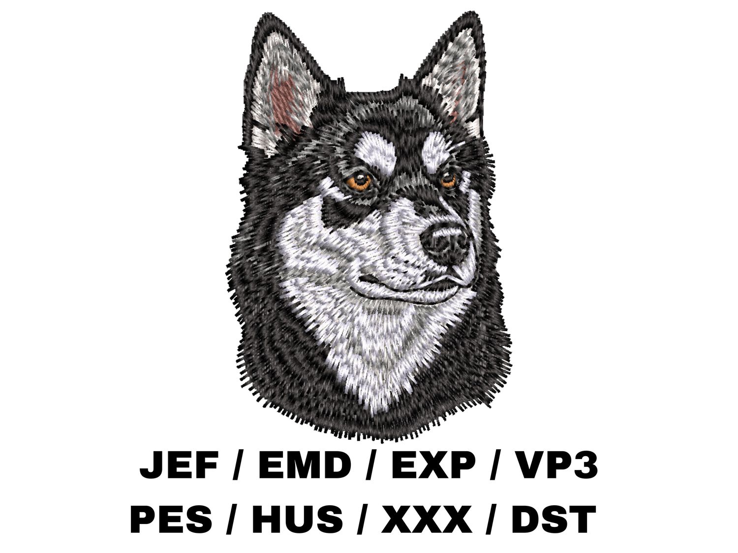 Alaskan Klee Kai 1