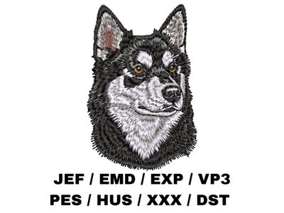 Alaskan Klee Kai 1