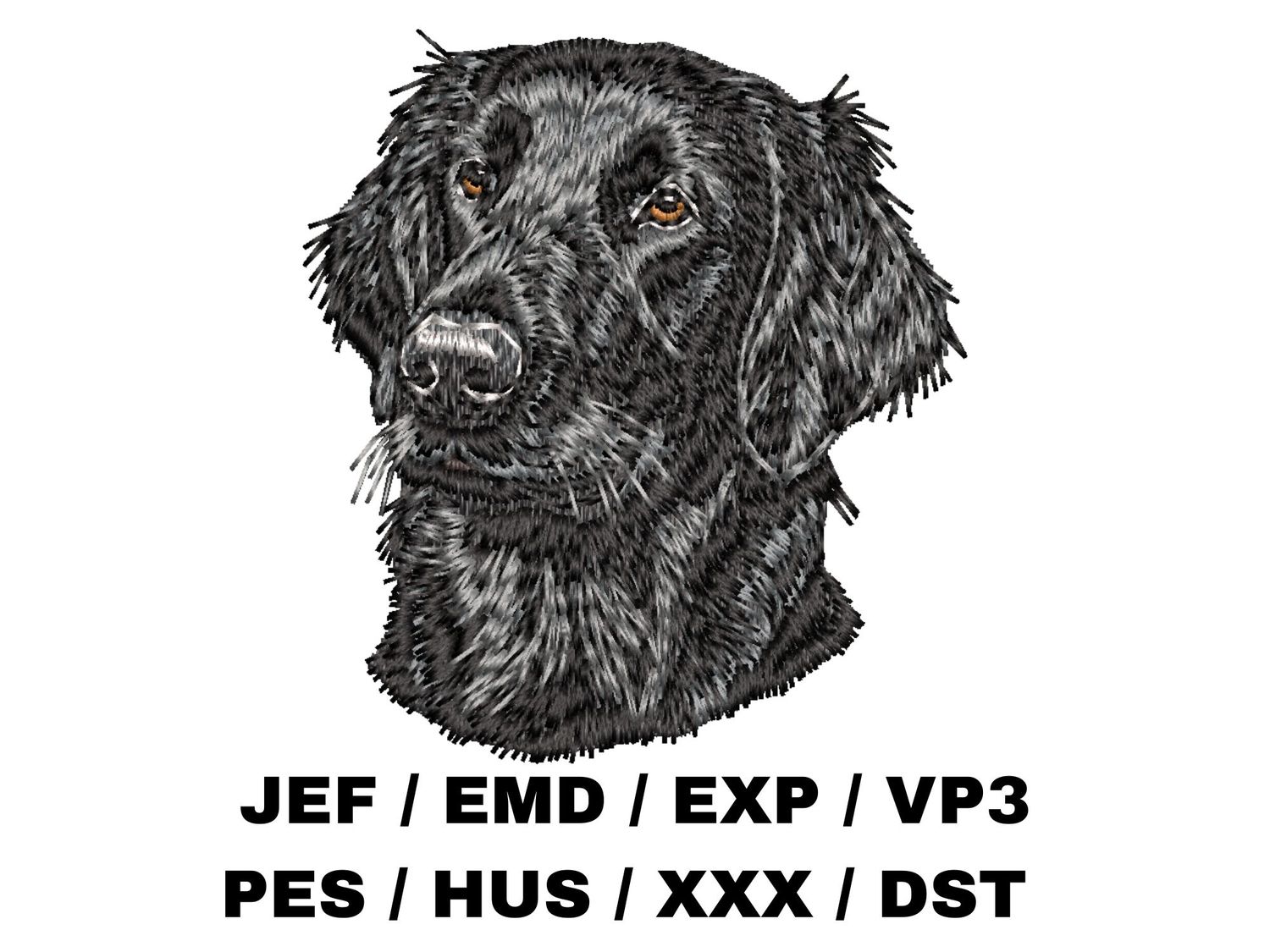 Flat Coated Retriever 2